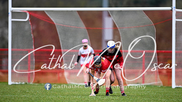 Derry Minors v Tyrone Seniors (113 of 143)