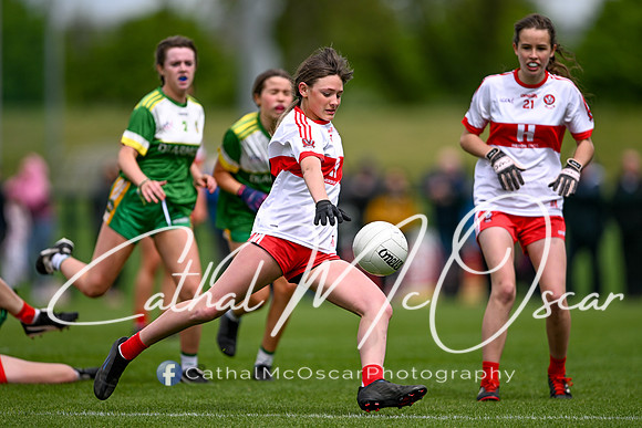 Derry v Offaly (111 of 260)