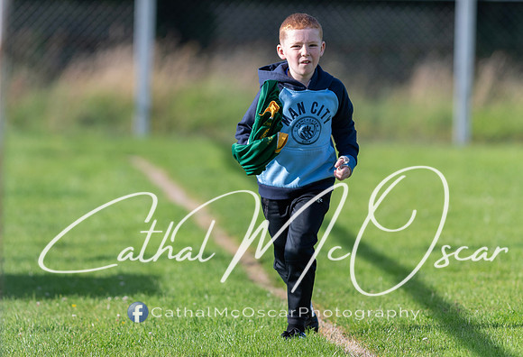Ogra Colmcille v Ardmore (12 of 144)