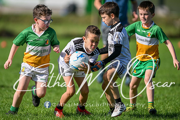 Moy U7.5 Tournament (196 of 427)