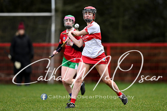 Derry Minors v Tyrone Seniors (7 of 143)