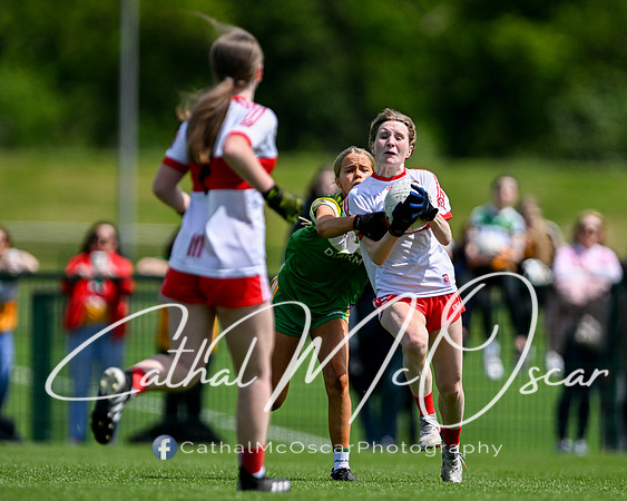 Derry v Offaly (14 of 260)