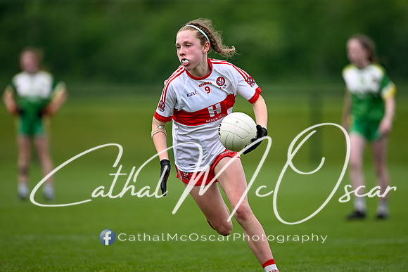 Derry v Offaly (133 of 260)