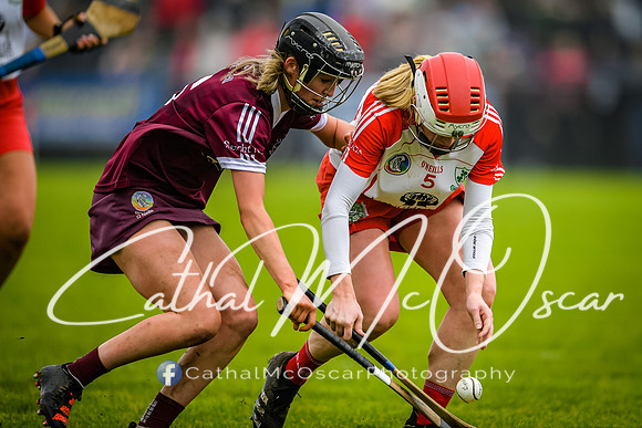 Slaughtneil v loughiel 2021 Ulster Final (65 of 279)
