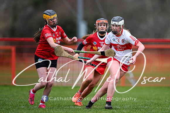 Derry Minors v Tyrone Seniors (103 of 143)