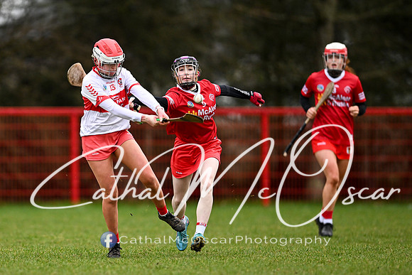 Derry Minors v Tyrone Seniors (40 of 143)
