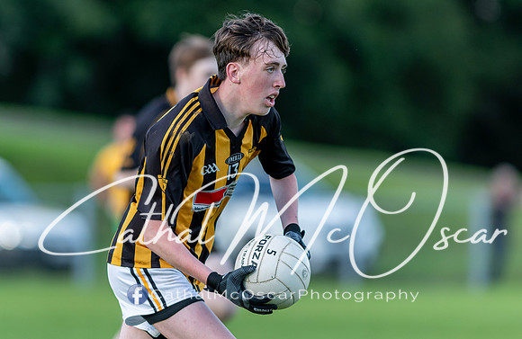 Ogra Colmcille v Ardmore (115 of 144)