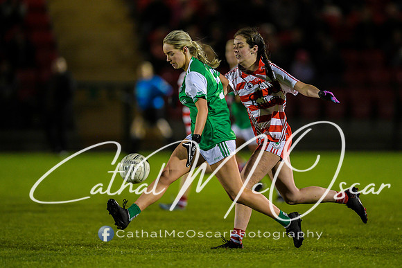 Ballerin v Craigbane (123 of 201)