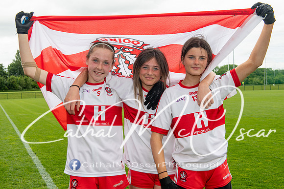 Derry v Offaly (214 of 260)