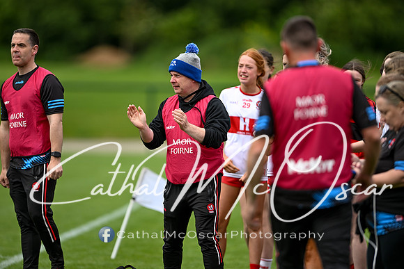 Derry v Offaly (128 of 260)