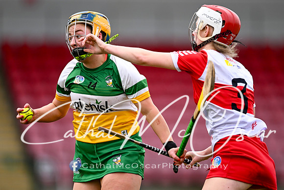 Derry v Offaly (13 of 142)