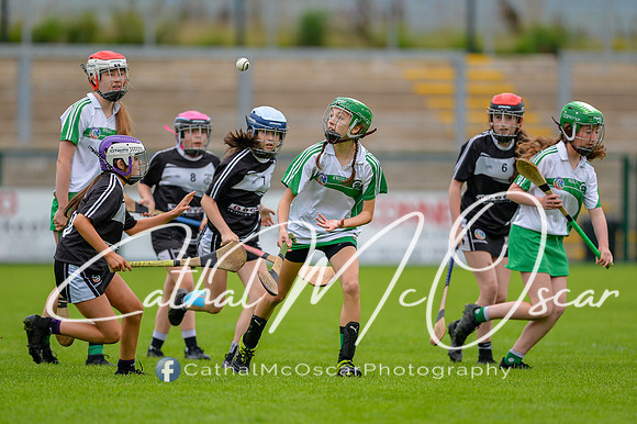 Loup v Dungiven (10 of 183)
