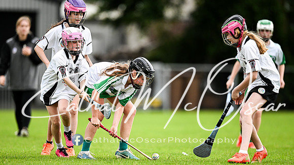 Castledawson v Loup (63 of 101)