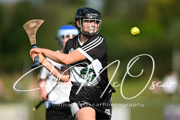 Castledawson v Dungiven-5