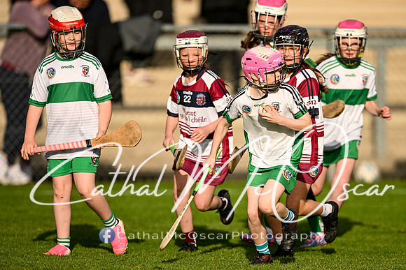 Slaughtneil v Swatragh-66
