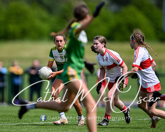 Derry v Offaly (12 of 260)