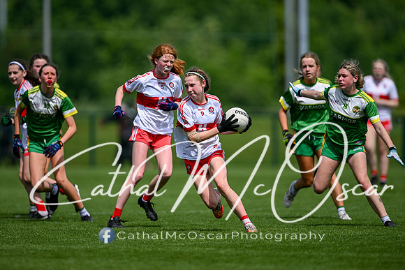 Derry v Offaly (28 of 260)