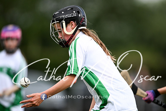 Castledawson v Loup (81 of 101)