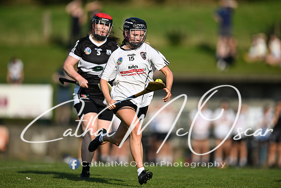 Castledawson v Dungiven-39