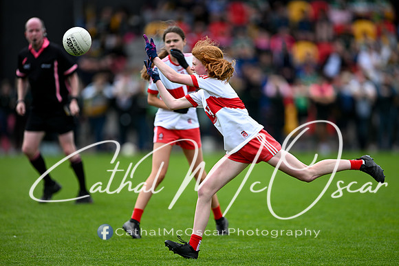 Derry v Offaly (123 of 260)