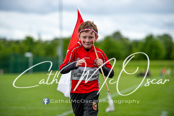 Derry v Offaly (46 of 260)