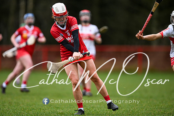 Derry Minors v Tyrone Seniors (91 of 143)