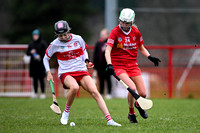 Derry Minors v Tyrone Seniors (9 of 143)
