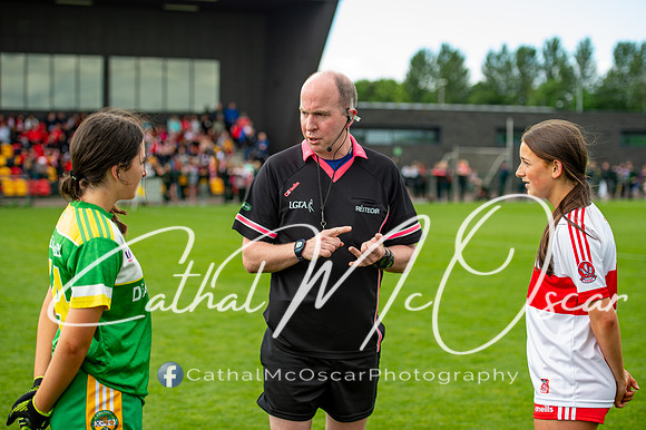 Derry v Offaly (92 of 260)