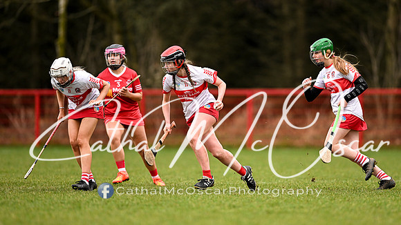 Derry Minors v Tyrone Seniors (126 of 143)
