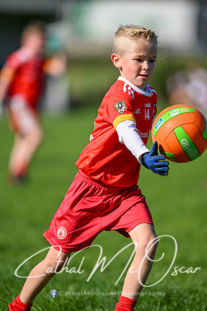 Moy U7.5 Tournament (166 of 427)