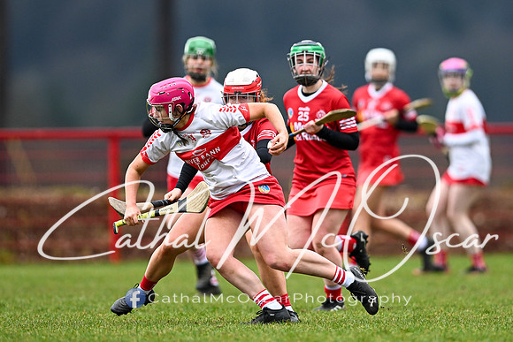 Derry Minors v Tyrone Seniors (110 of 143)