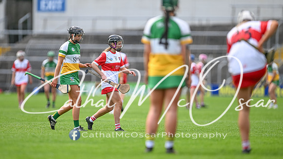 Derry v Offaly (126 of 148)