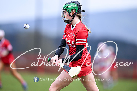 Derry Minors v Tyrone Seniors (32 of 143)