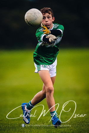 Loup v Limavady (51 of 114)