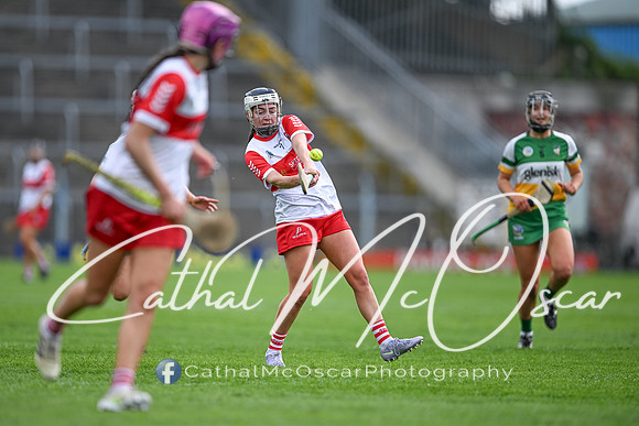 Derry v Offaly (60 of 148)