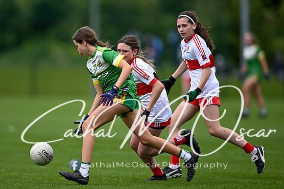 Derry v Offaly (103 of 260)