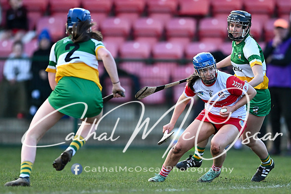Derry v Offaly (94 of 142)