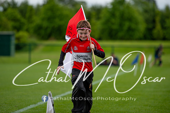 Derry v Offaly (45 of 260)