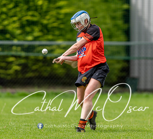 Castledawson v Lavey II (19 of 130)