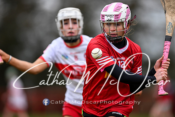 Derry Minors v Tyrone Seniors (59 of 143)