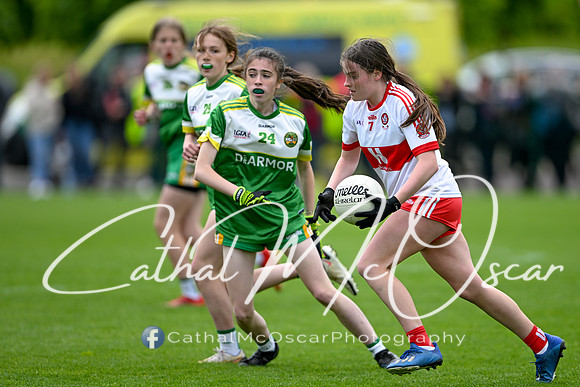 Derry v Offaly (125 of 260)