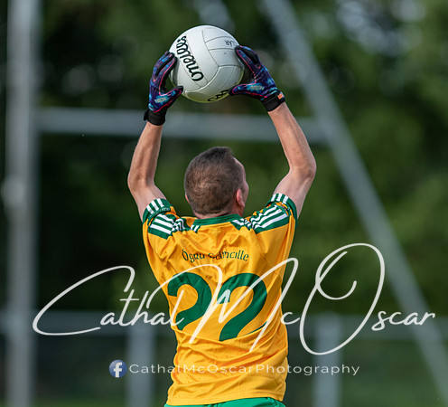 Ogra Colmcille v Ardmore (69 of 144)