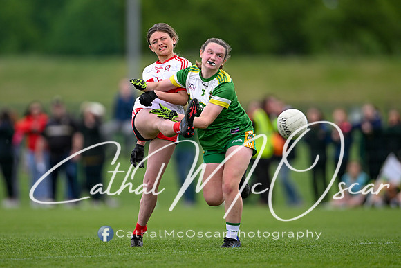 Derry v Offaly (96 of 260)