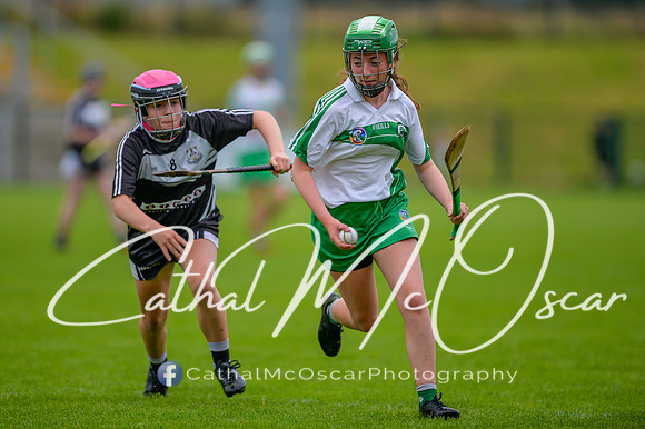Loup v Dungiven (91 of 183)