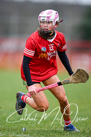 Derry Minors v Tyrone Seniors (63 of 143)