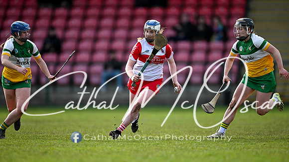 Derry v Offaly (48 of 142)