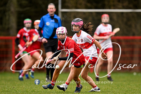 Derry Minors v Tyrone Seniors (134 of 143)