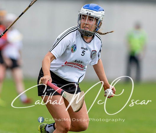 Castledawson v Lavey II (32 of 130)