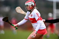 Derry Minors v Tyrone Seniors (11 of 143)