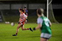 Ballerin v Craigbane (9 of 201)